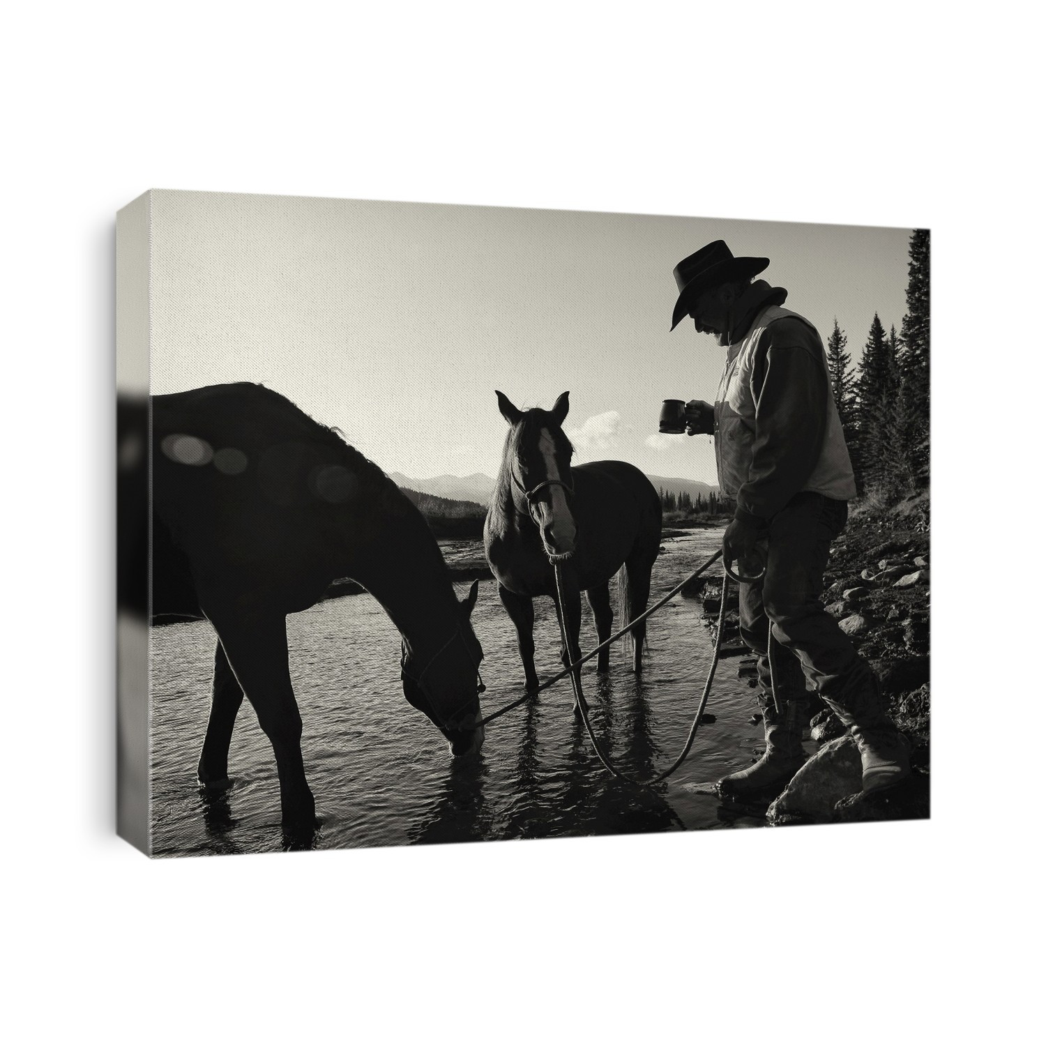 Cowboy Having His Morning Coffee At The Edge Of A River With His Horses, Ya-Ha-Tinda Ranch, Clearwater County; Alberta, Canada