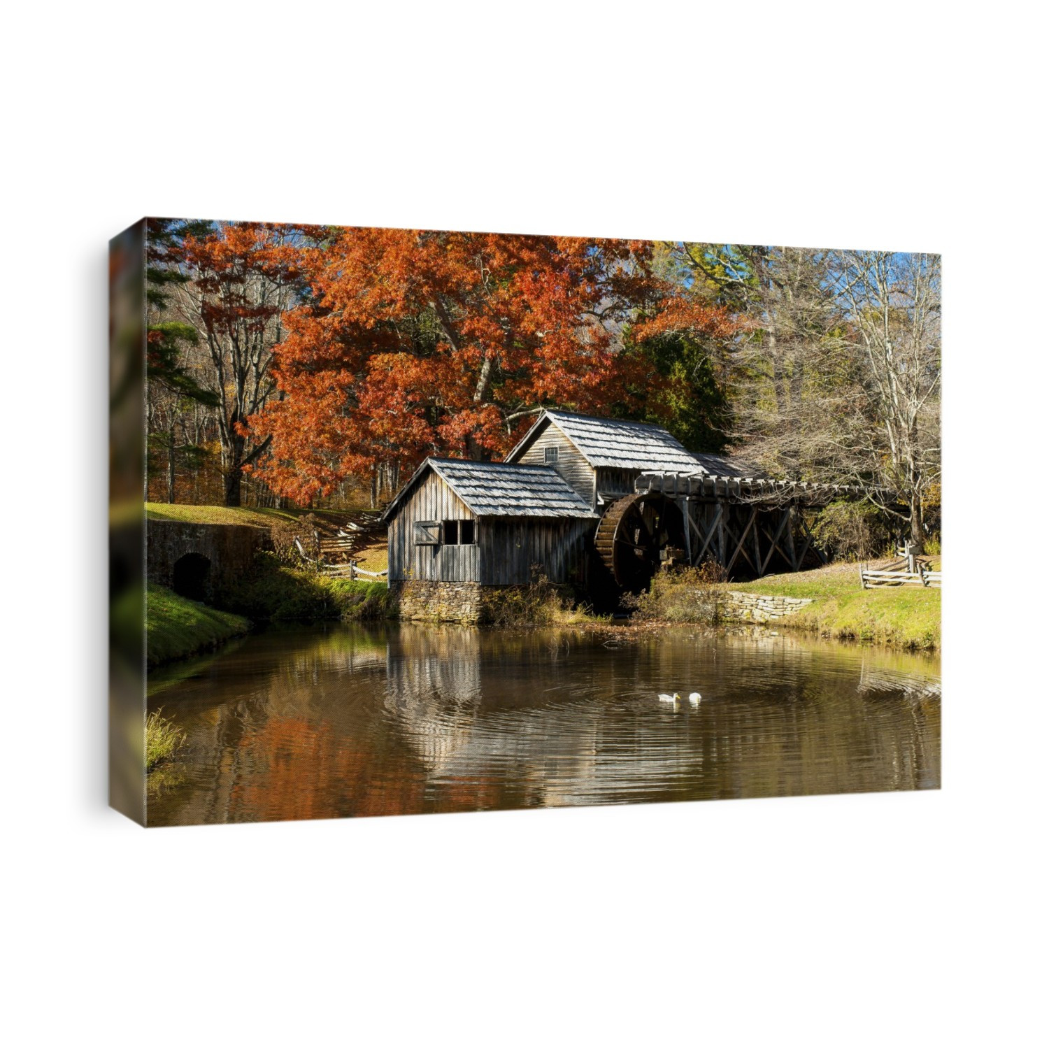 Ducks swimming in a pond at an old grist mill in an autumn landscape.; Mabry Mill, Meadows of Dan, Virginia.