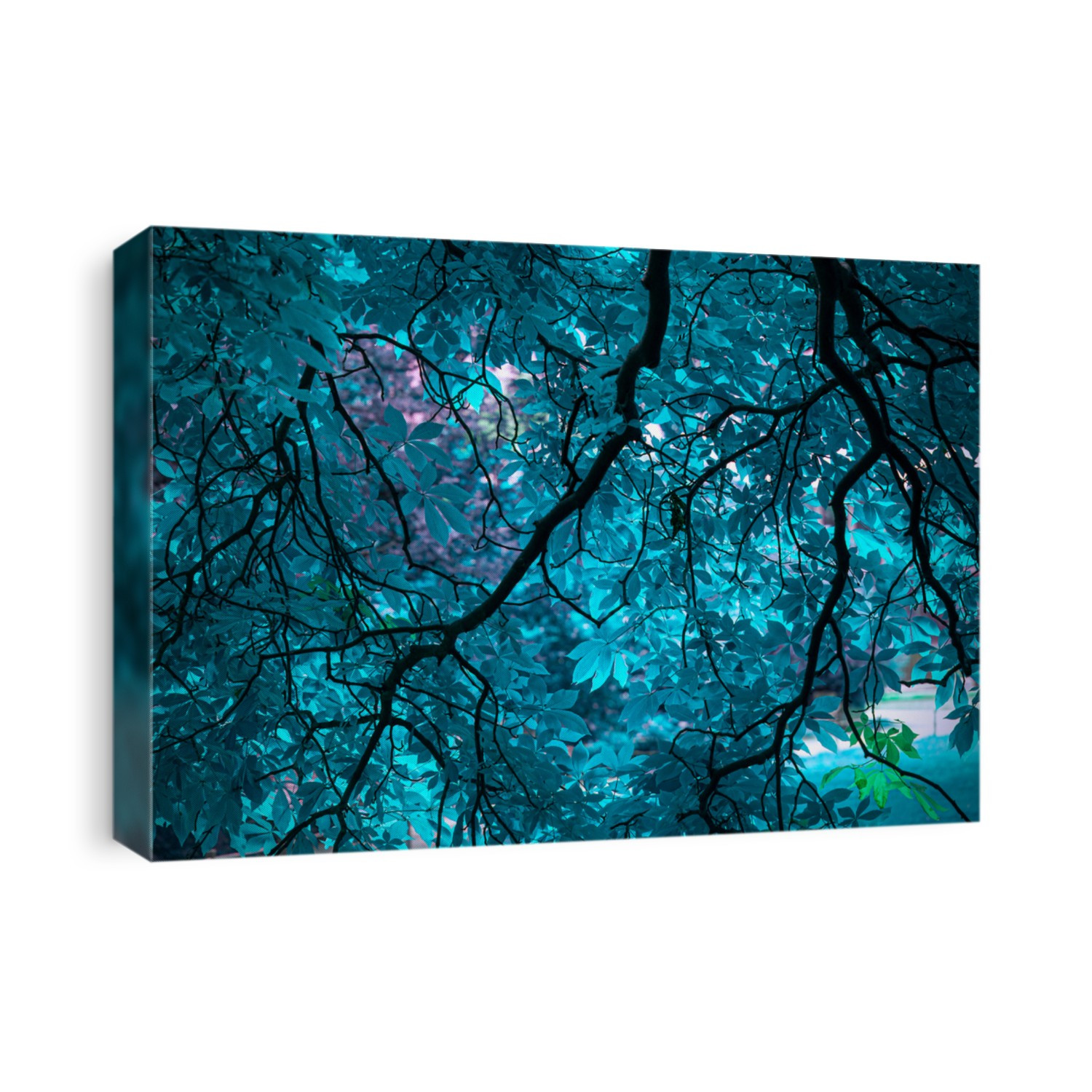 Amazing magiс blue tree with blue leafs