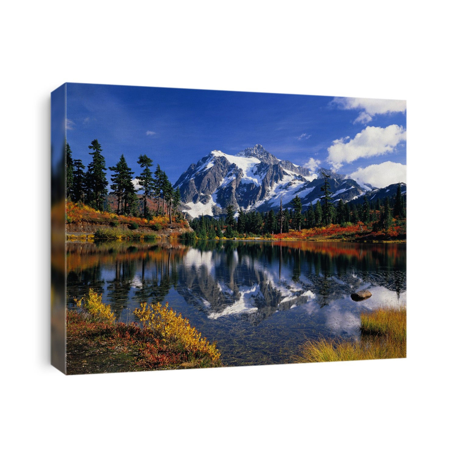 Autumn Foliage Surrounding Picture Lake, Mount Baker-Snoqualmie National Forest in North Cascades National Park, Washington State, USA; Washington, United States of America