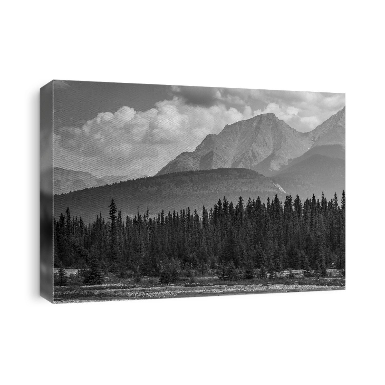 Black and white landscape of the rugged Canadian rocky mountains with a forest and a river in the foreground; Invermere, British Columbia, Canada