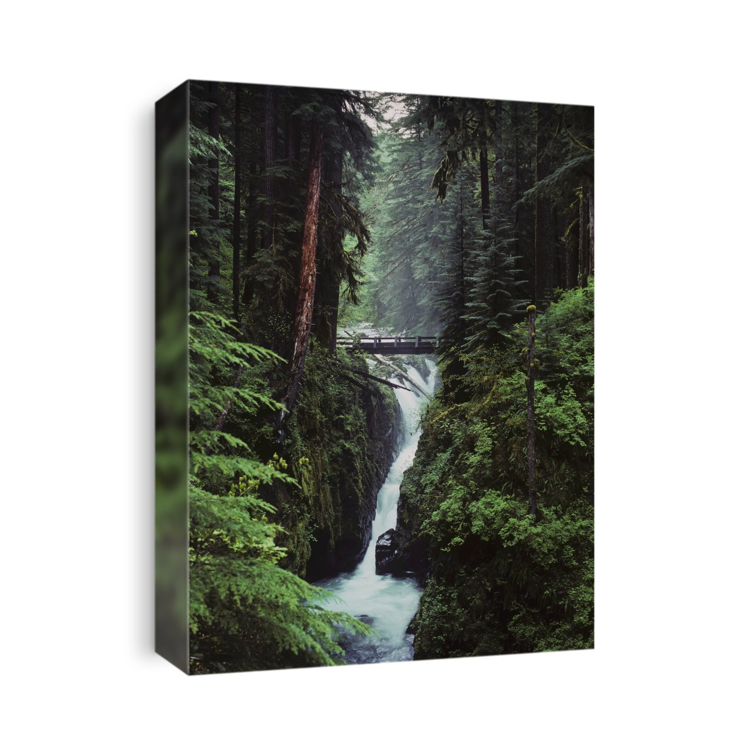 Sol Duc Falls Plunges Down The Cliffs; Forks, Washington, United States Of America