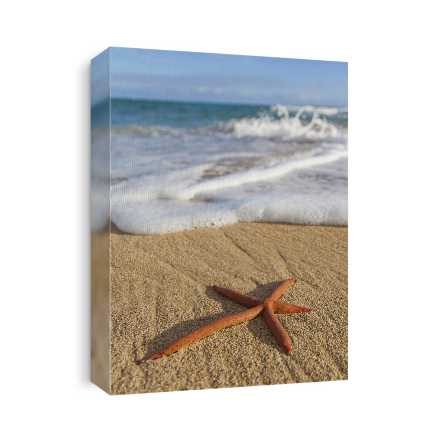 A Red Live Finger Starfish, Also Known As Linckia Sea Star, Found Along A Sandy Beach With White Ocean Tide Washing Up; Honolulu, Oahu, Hawaii, United States Of America
