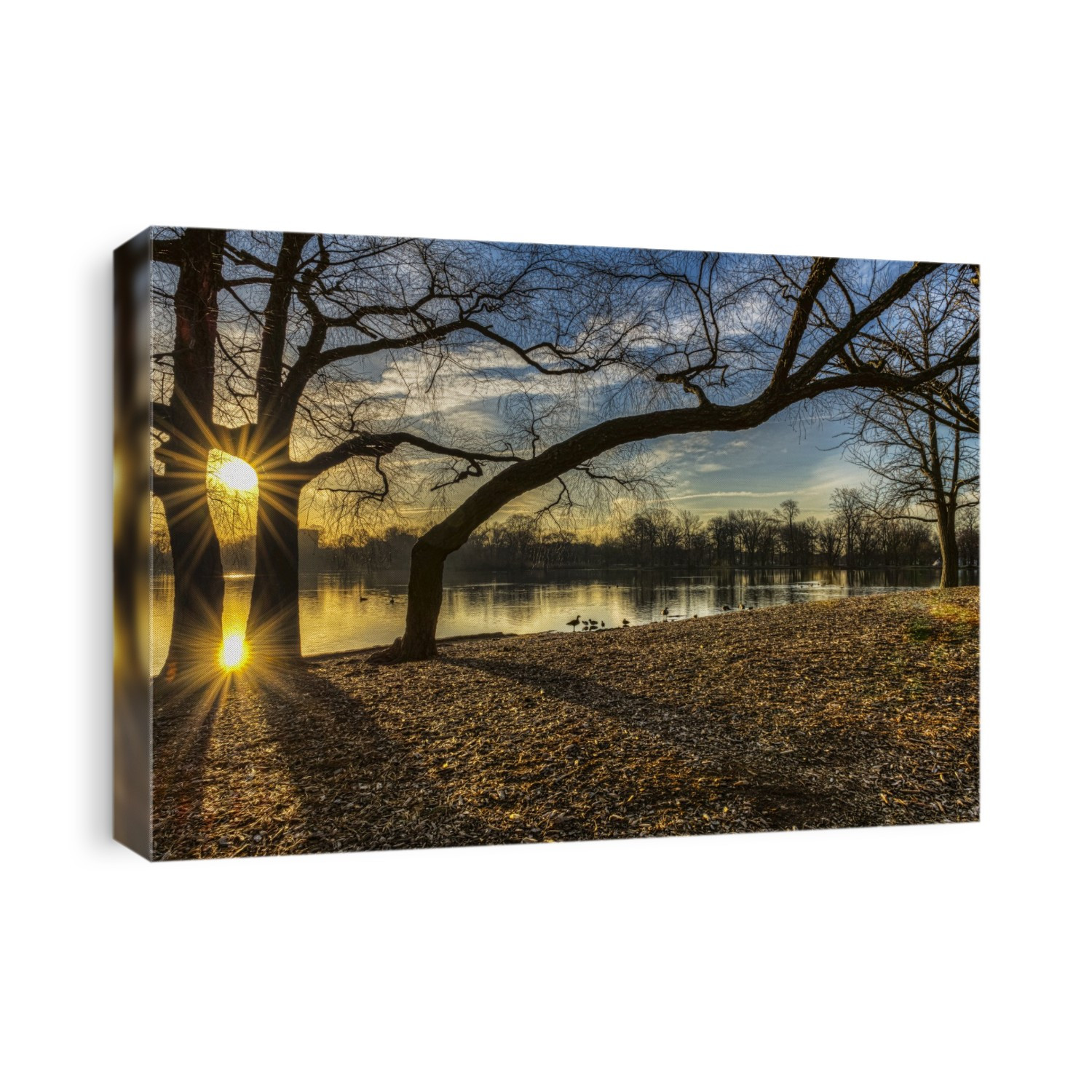 Sunrise Over Prospect Park Lake, Prospect Park; Brooklyn, New York, United States Of America