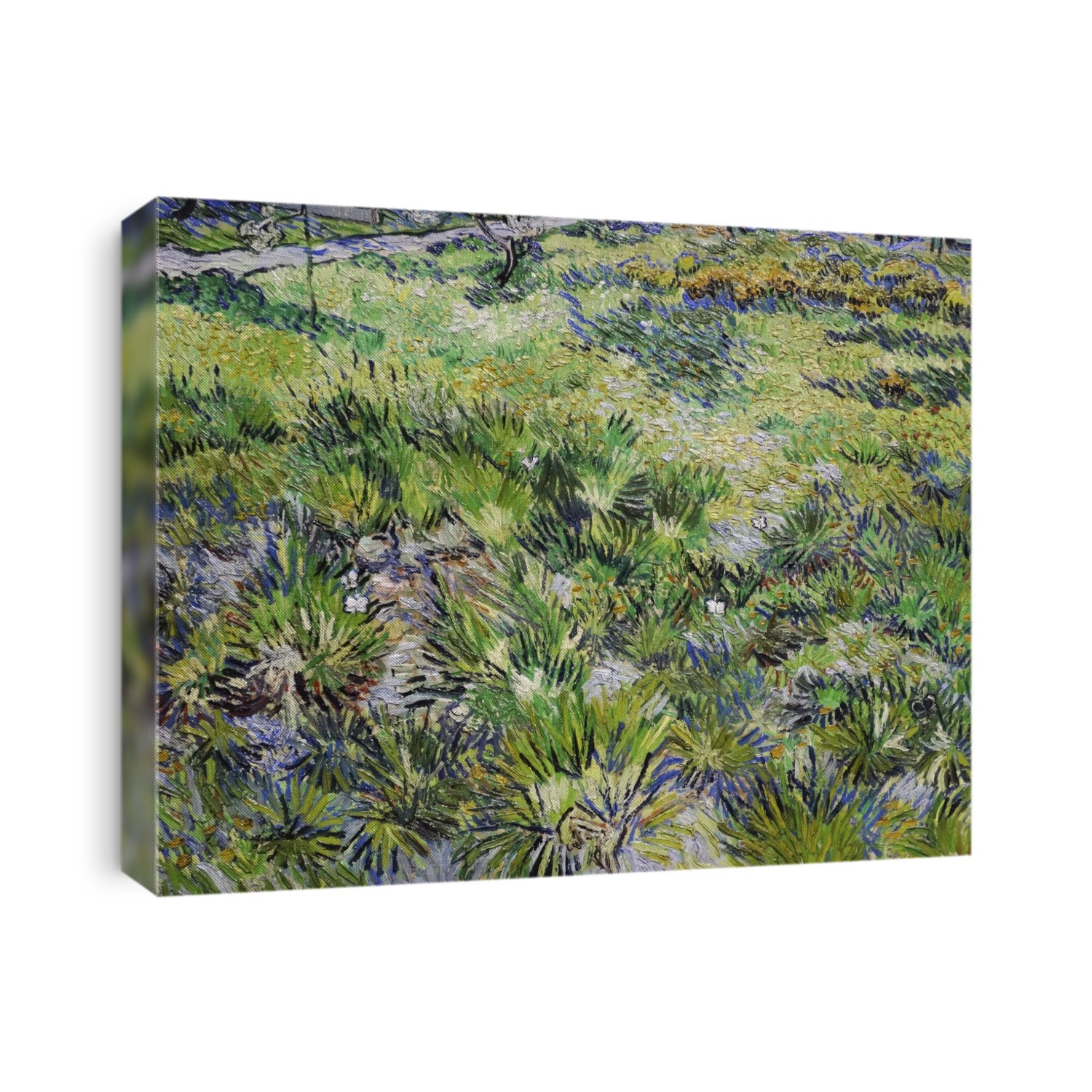 Painting titled 'Long Grass with Butterflies' by Vincent Willem van Gogh (18531890) a Dutch postImpressionist painter. Dated 19th Century.