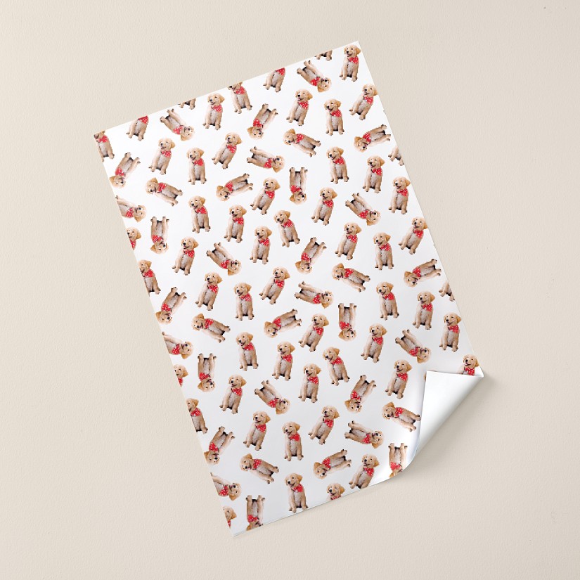 General Cutout Wrapping Paper