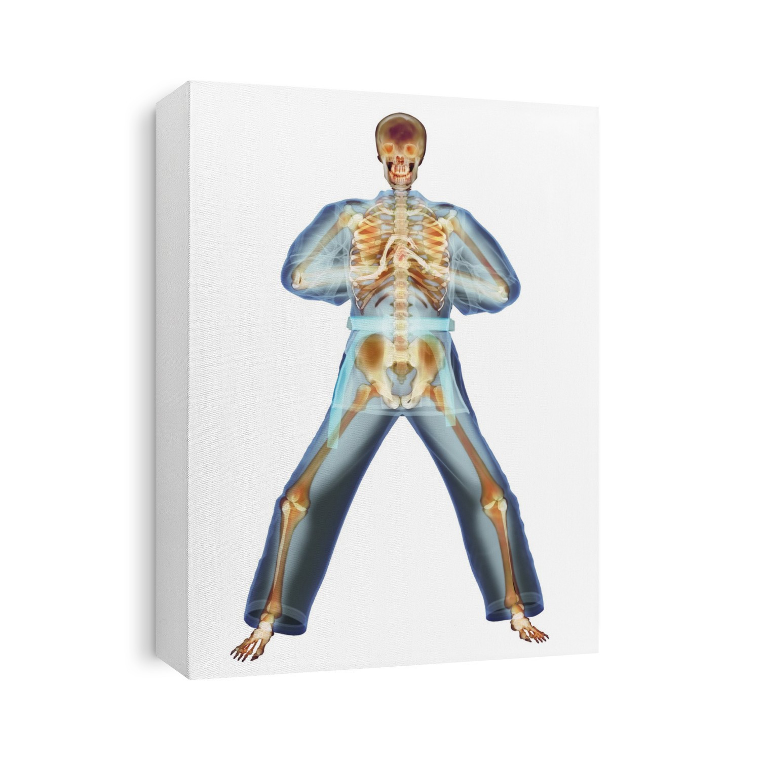 Martial arts greeting. Enhanced X-ray of a man performing a kung fu greeting.