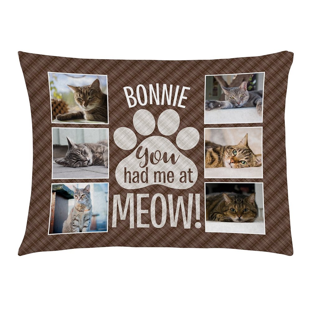 You Had Me At Meow! Photo Pet Bed-Medium-Brown