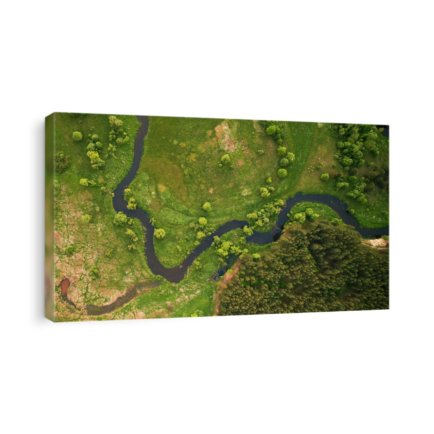 Aerial landscape - wild river in summer