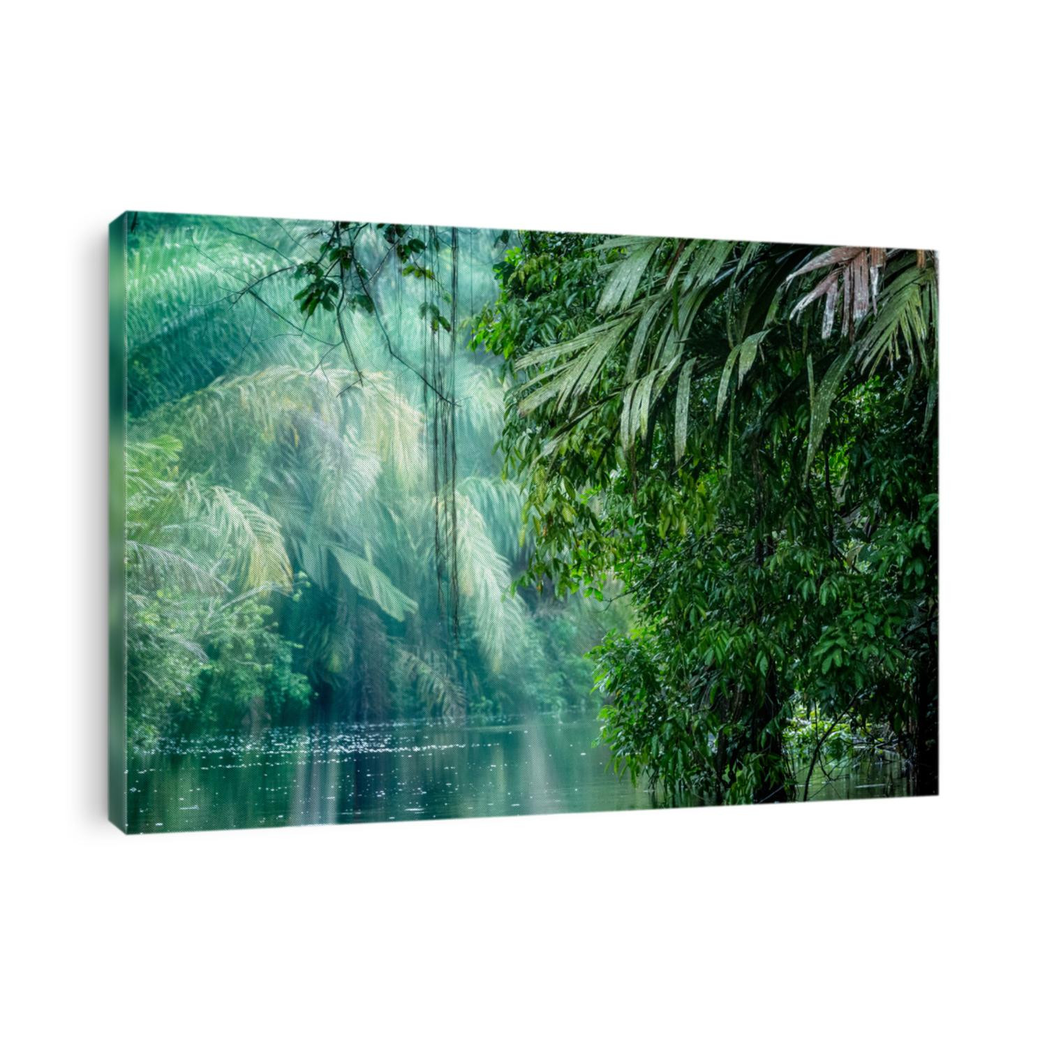 Tortuguero National Park, Rainforest, Costa Rica, Caribbean coast, Central America