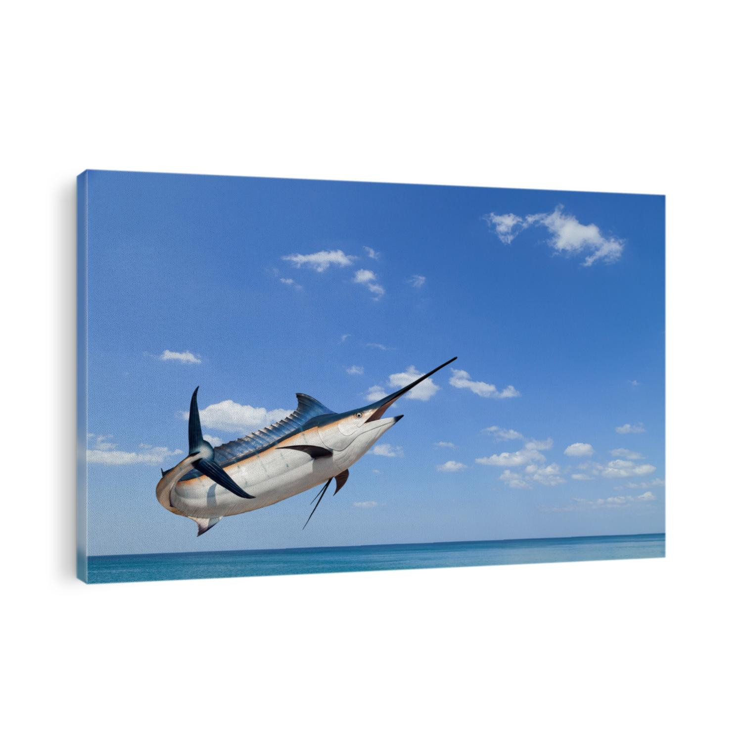 Marlin - Swordfish,Sailfish saltwater fish (Istiophorus) isolated on sea and sky  background