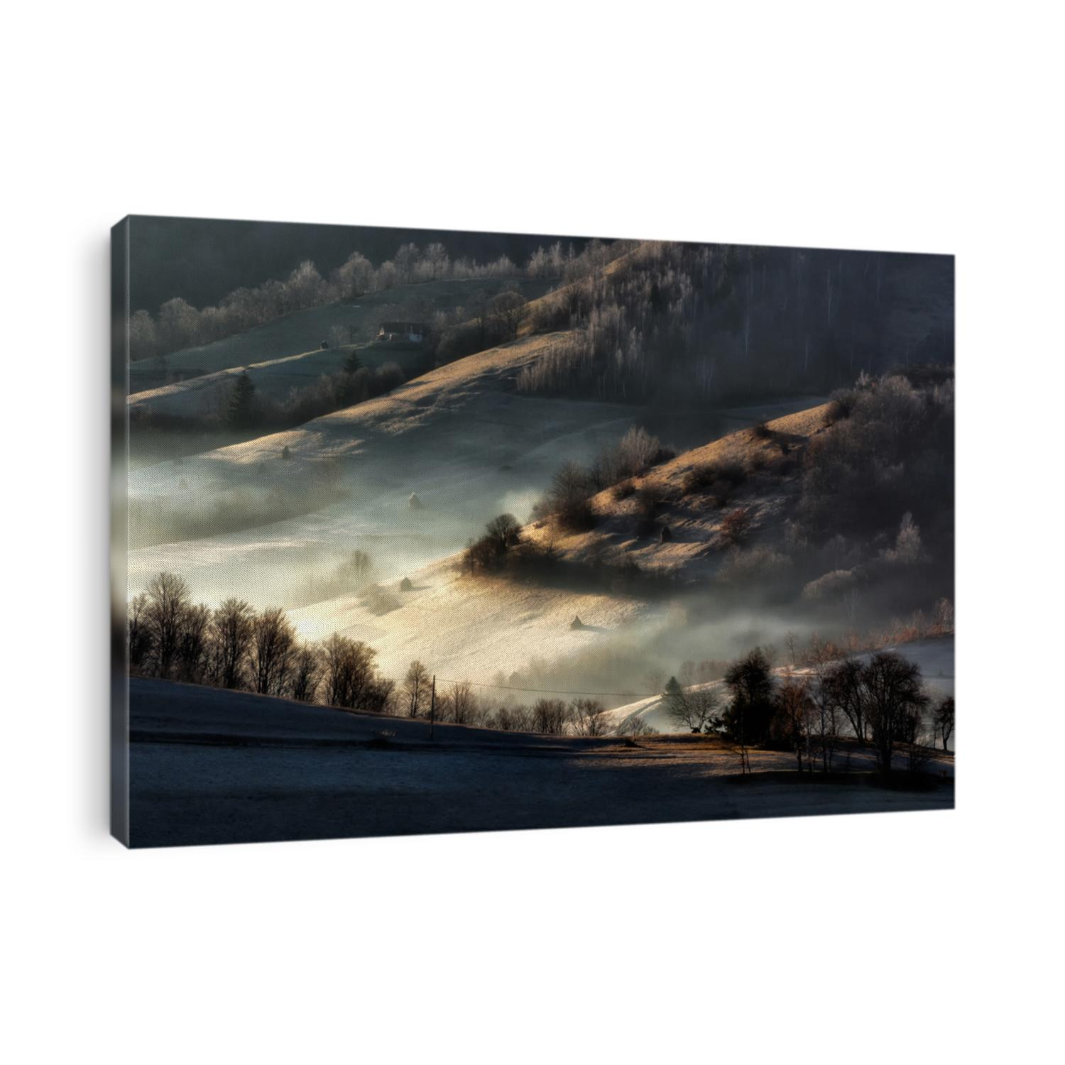 Foggy and sunny day of a autumn, on wild transylvania hills. Holbav. Romania. Low key, dark background, spot lighting, and rich Old Masters