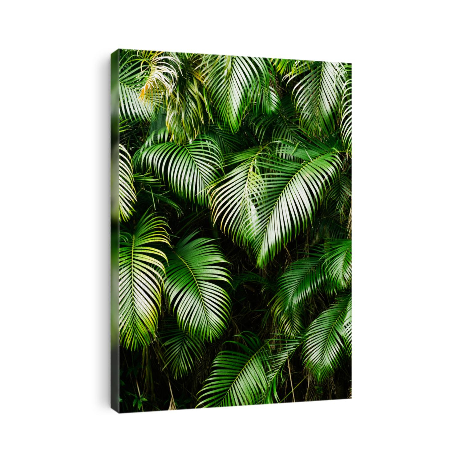 Nature background of tree leaf in tropical area.
