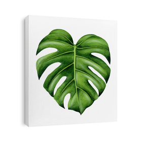 Tropical