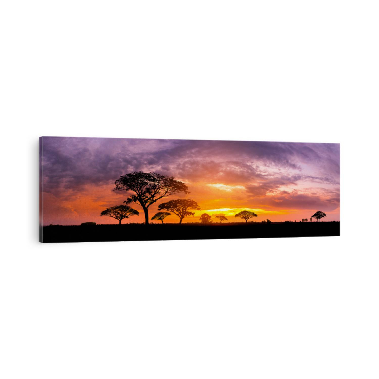 Panorama silhouette tree in africa with sunset.Tree silhouetted against a setting sun.Dark tree on open field dramatic sunrise.Typical african sunset with acacia trees in Masai Mara, Kenya