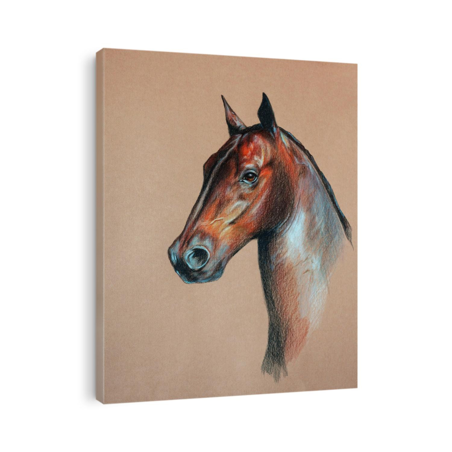 bay horse head - pastel drawn animal with detailed paper texture