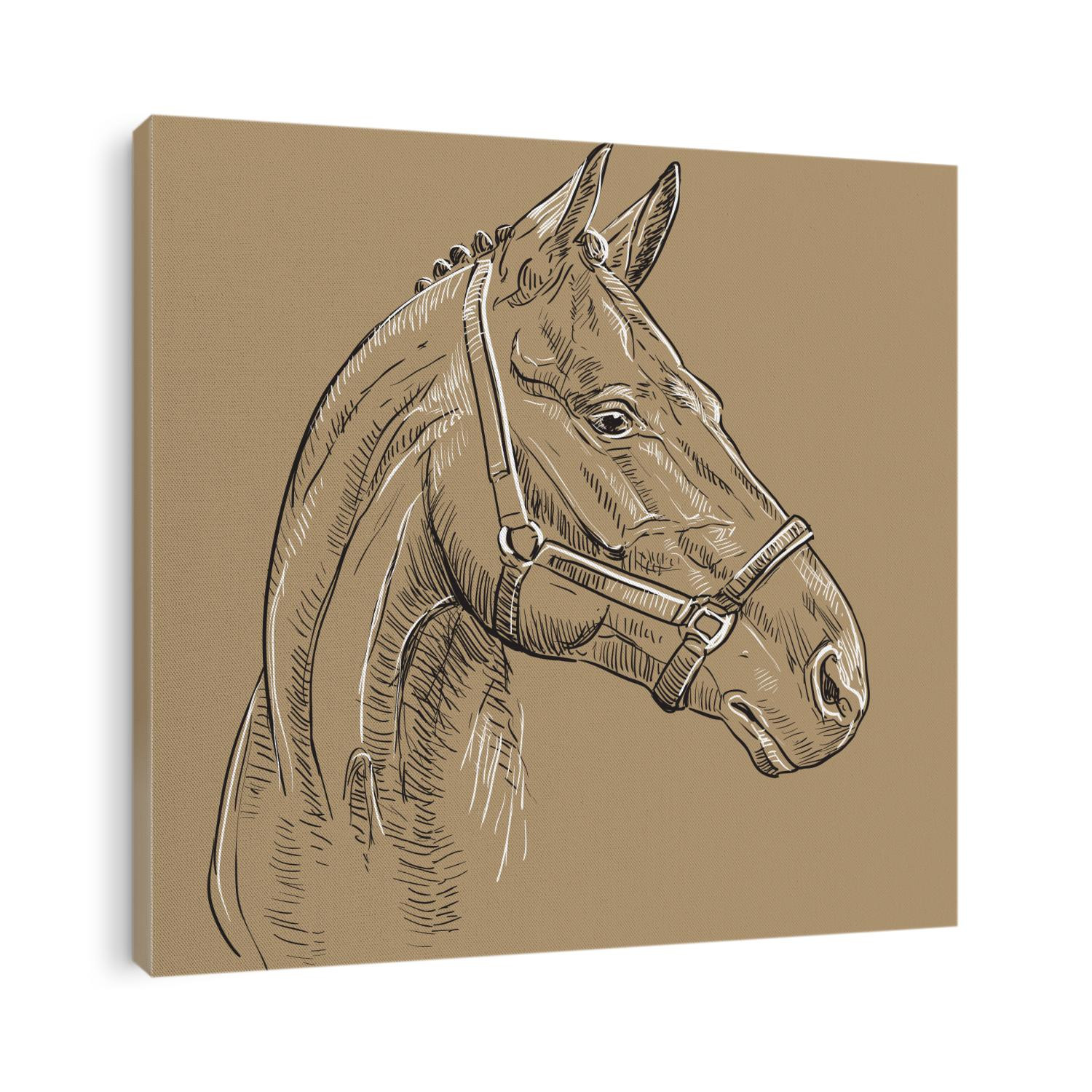 Horse portrait with bridle. Horse head in profile in black and white colors isolated on beige background. Vector hand drawing illustration. Retro style portrait of horse in bridle.