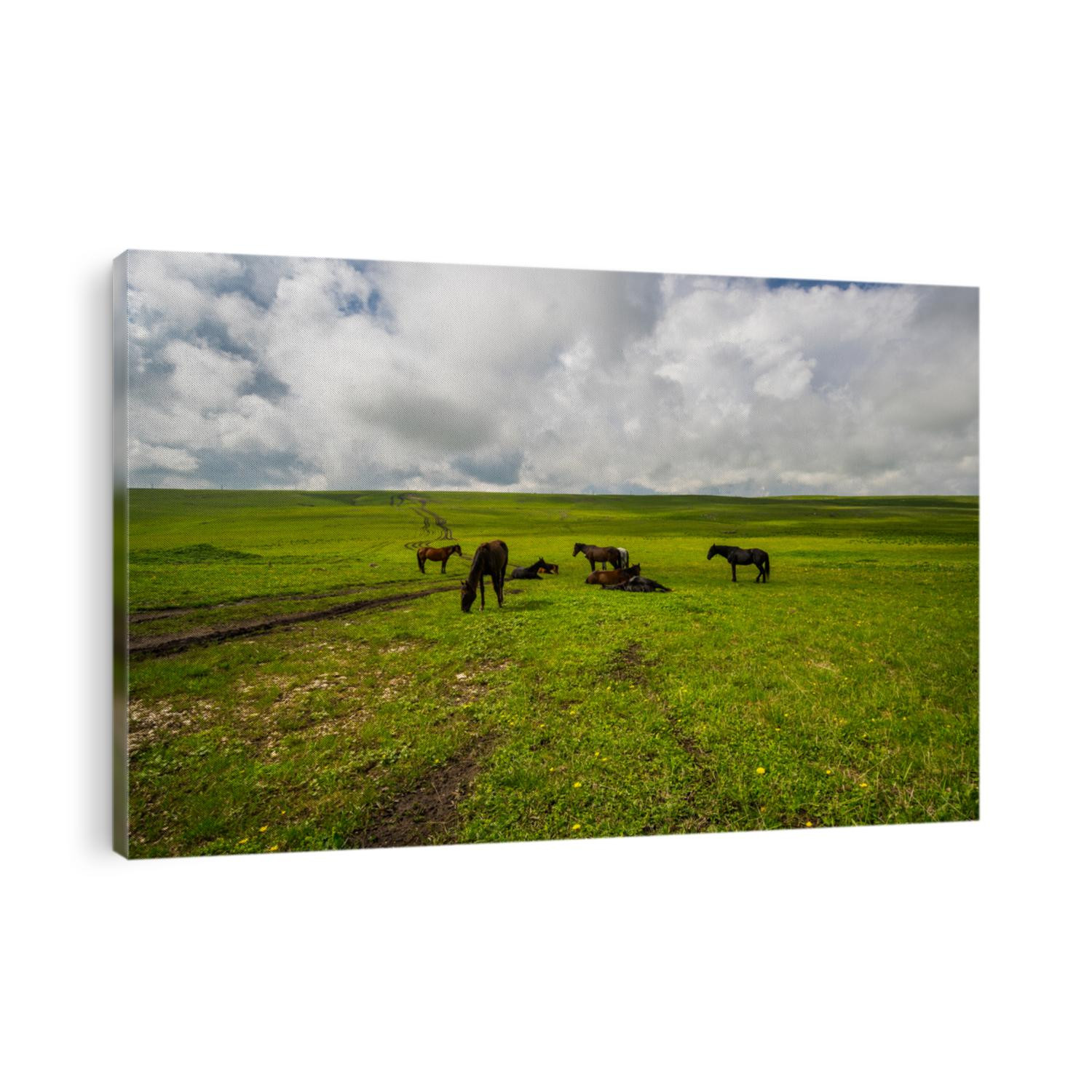 Panoramic view of the Bermamyt Plateau in the Karachay-Cherkessia Republic, Russia