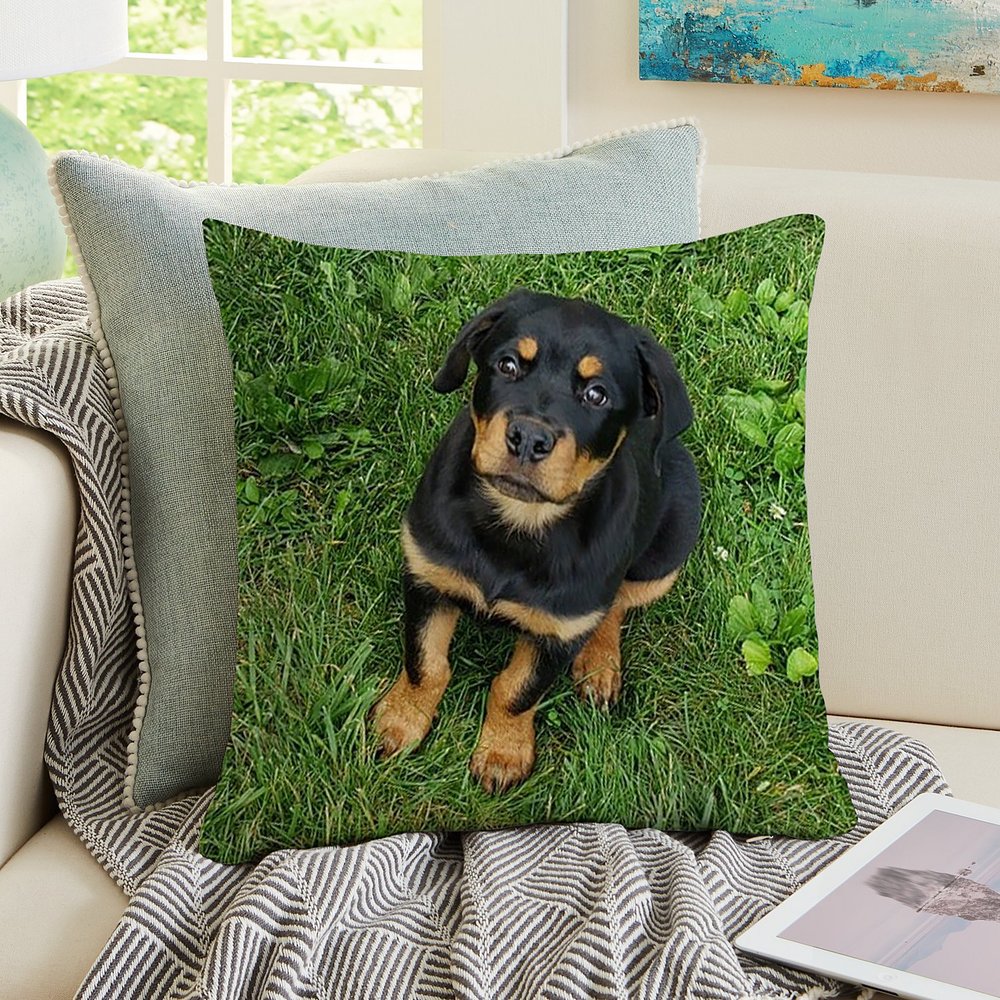 My Furry Companion Personalized Pet Photo Cushion