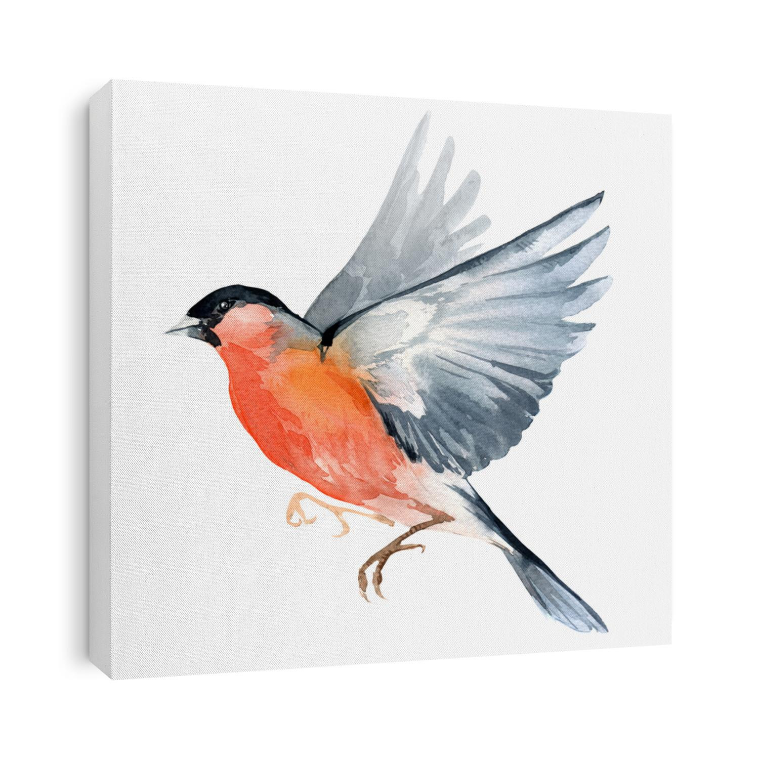 Watercolor wildlife natural winter Christmas robin bird