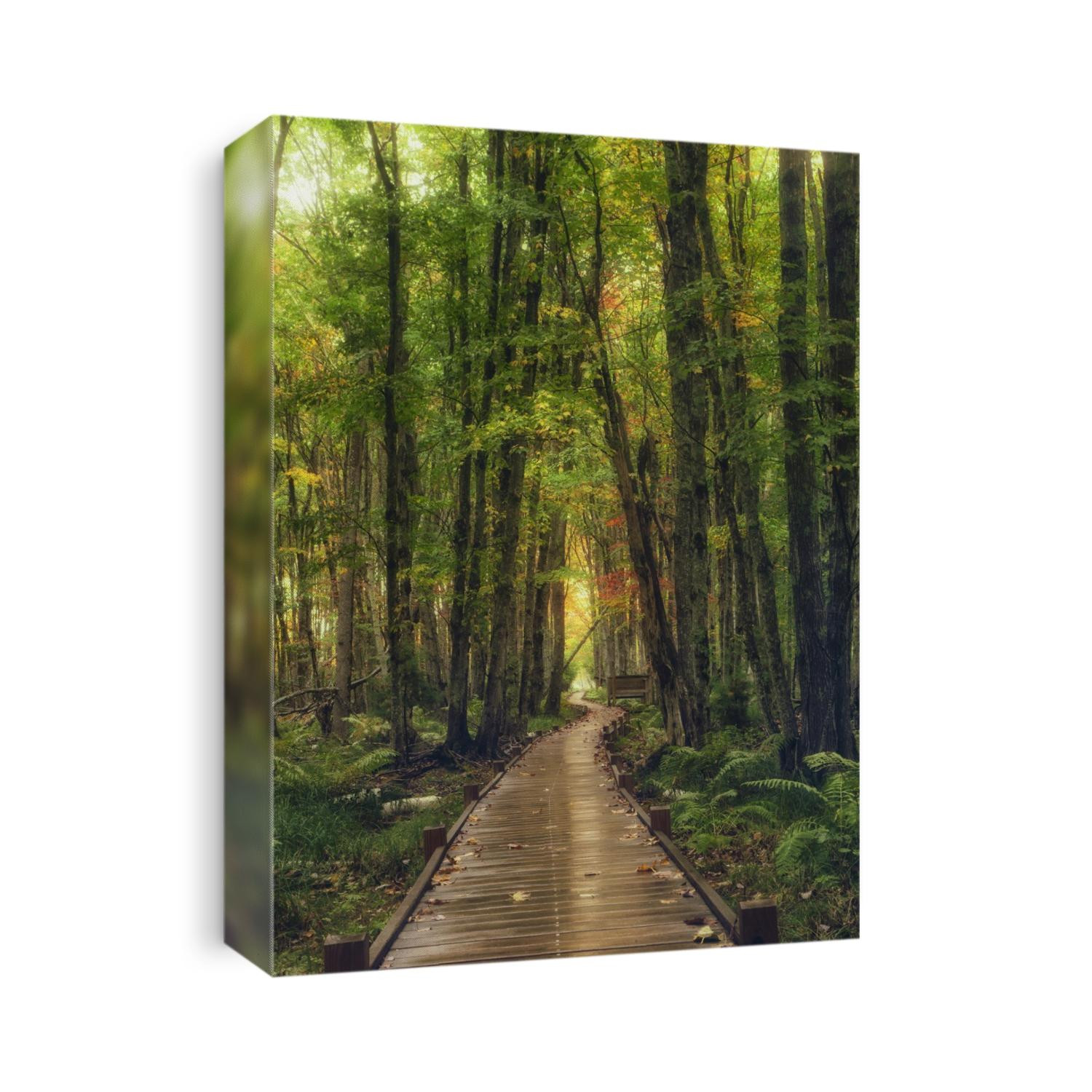 The Wild Gardens of Acadia National Park in Maine