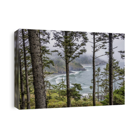 Forests