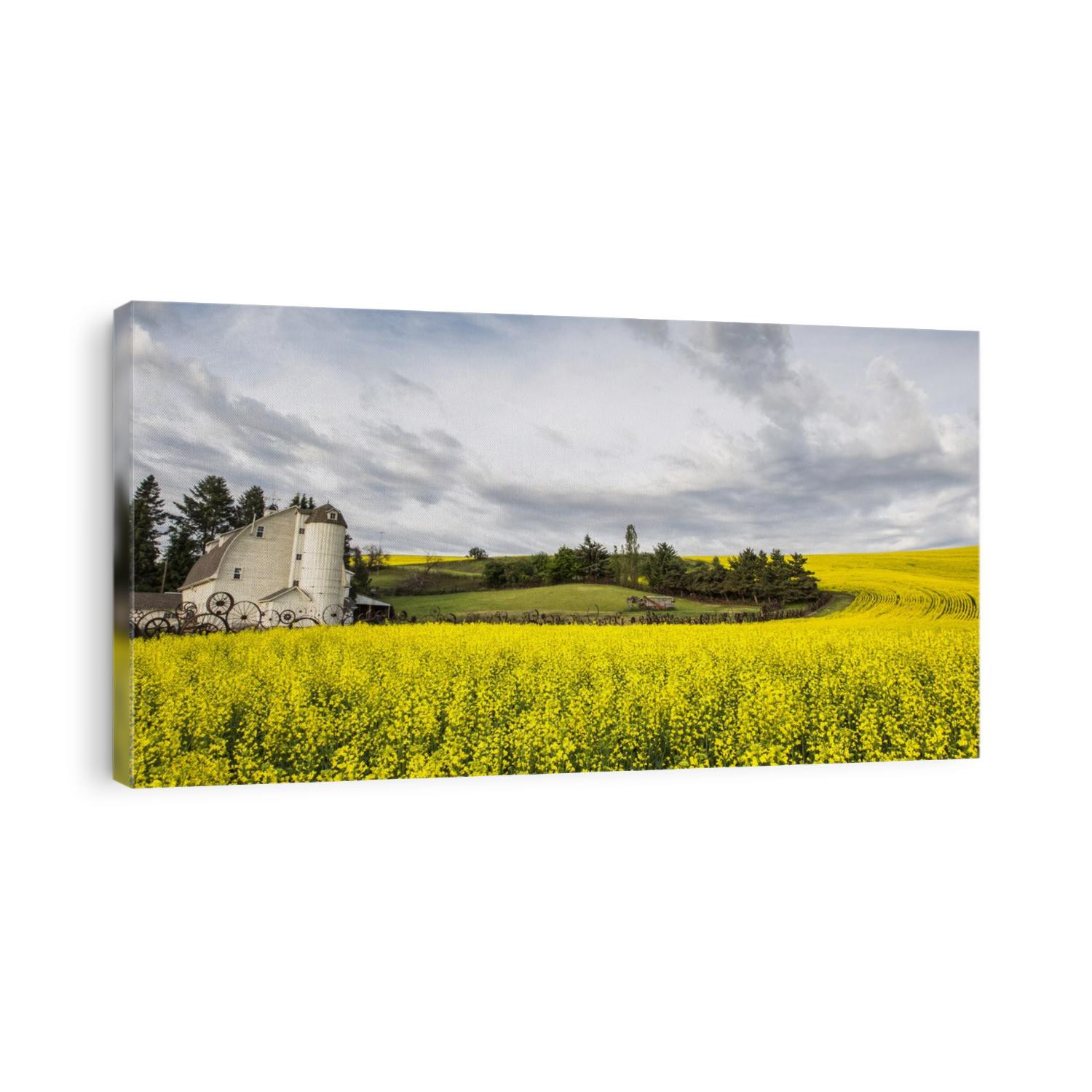 The Dahmen Barn and yellow Cannola Fields in the Palouse, Washington