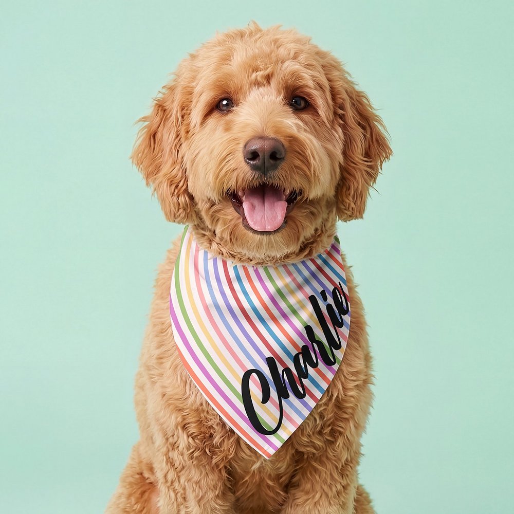 Colorful Stripes Pet Bandana
