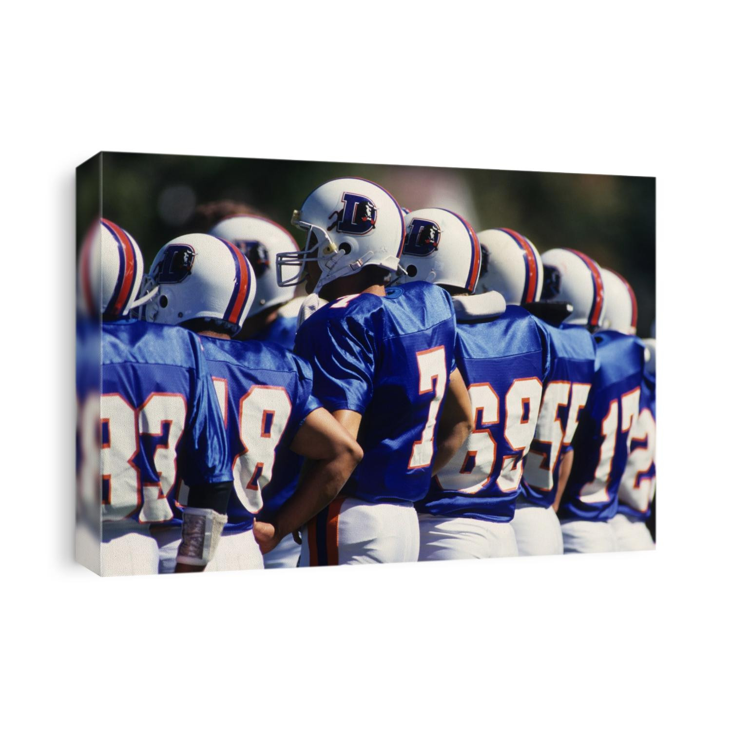 Football team lined up