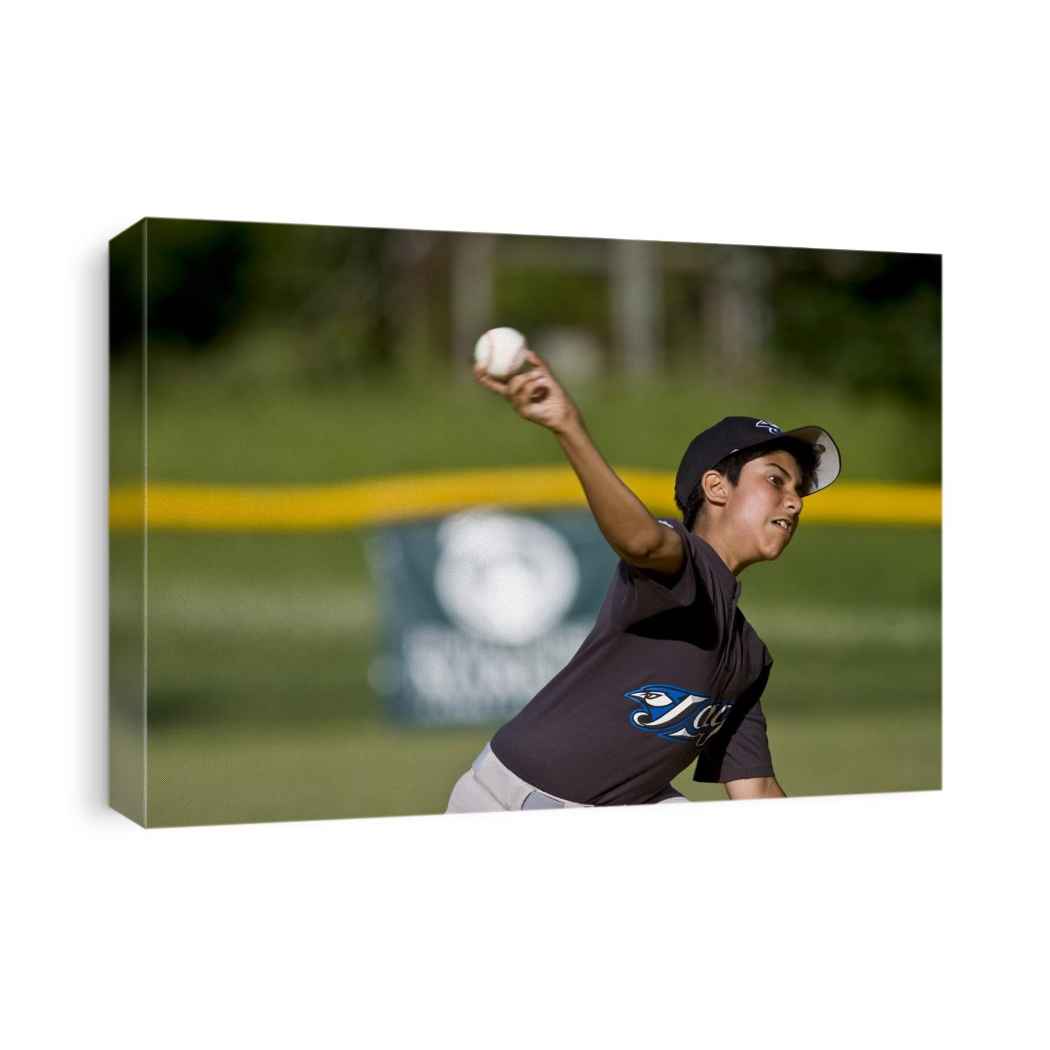 Boys Little Baseball pitcher in game action