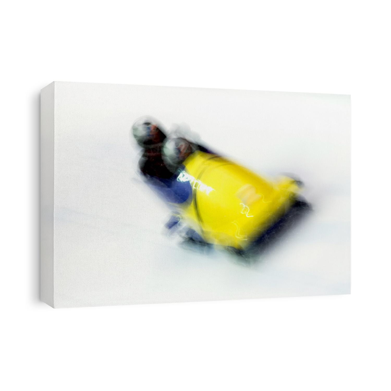 Two man bobsled in action