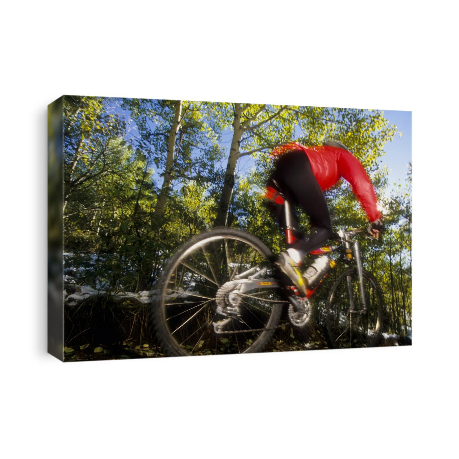 Blurred action of recreational mountain biker riding on the trails.