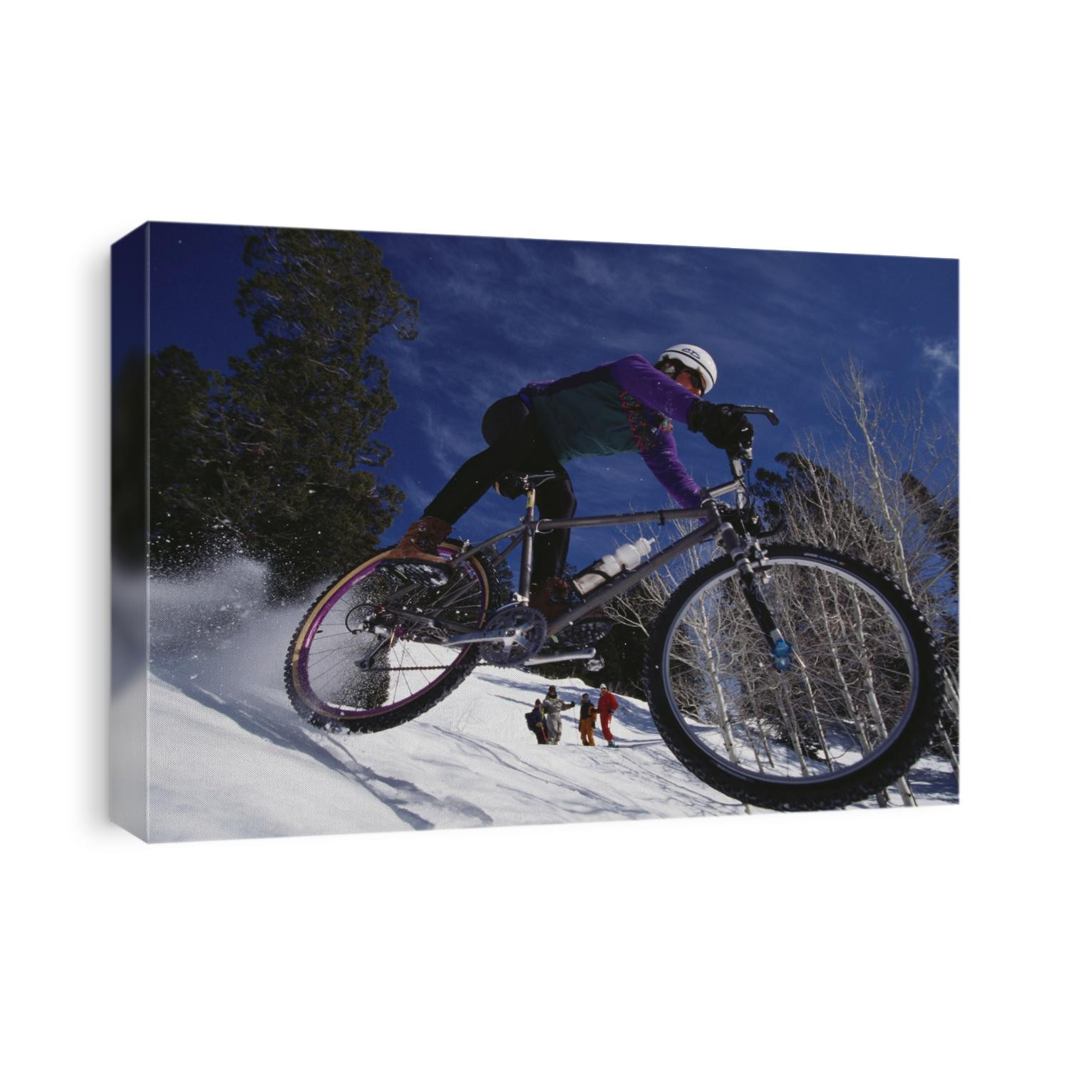 Mountain biking on snow.