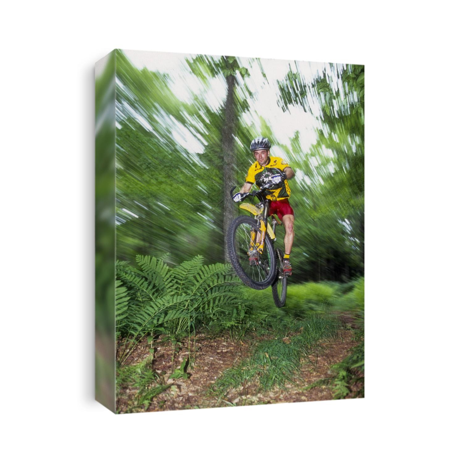 Recreational mountain biker riding on the trails.