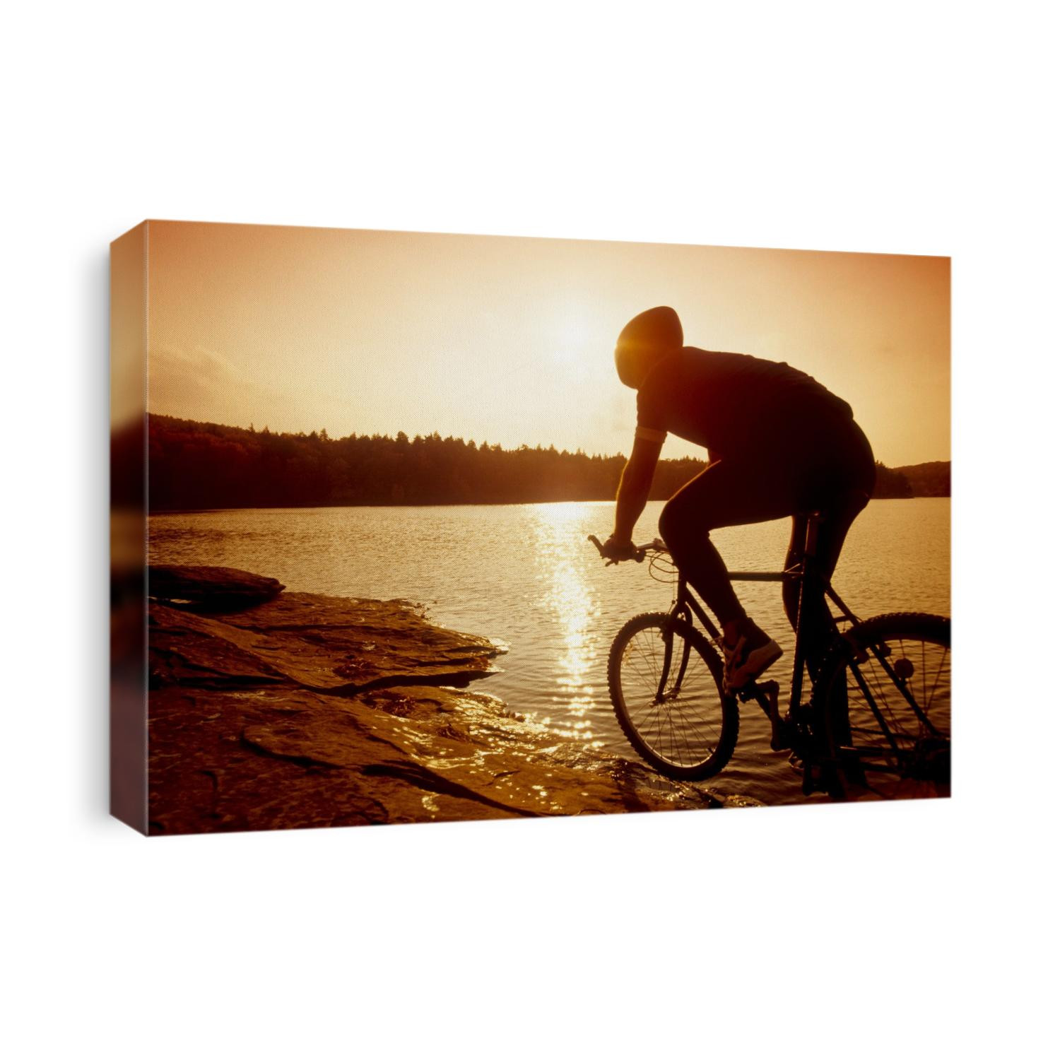 Silhouette of mountain biker at sunset.