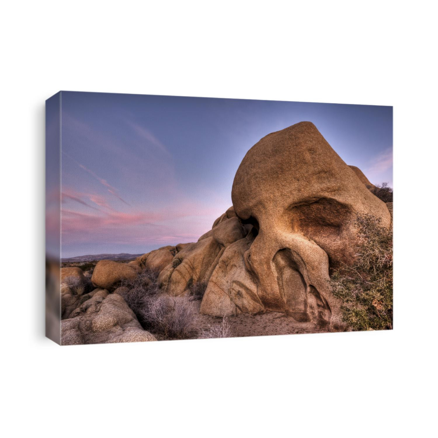 Skull Rock Joshua Tree National Park