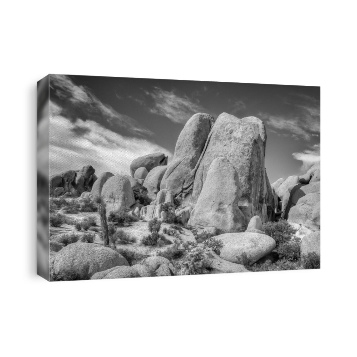Spectacular rock formations in black and white at Joshua Tree National Park, California, USA.