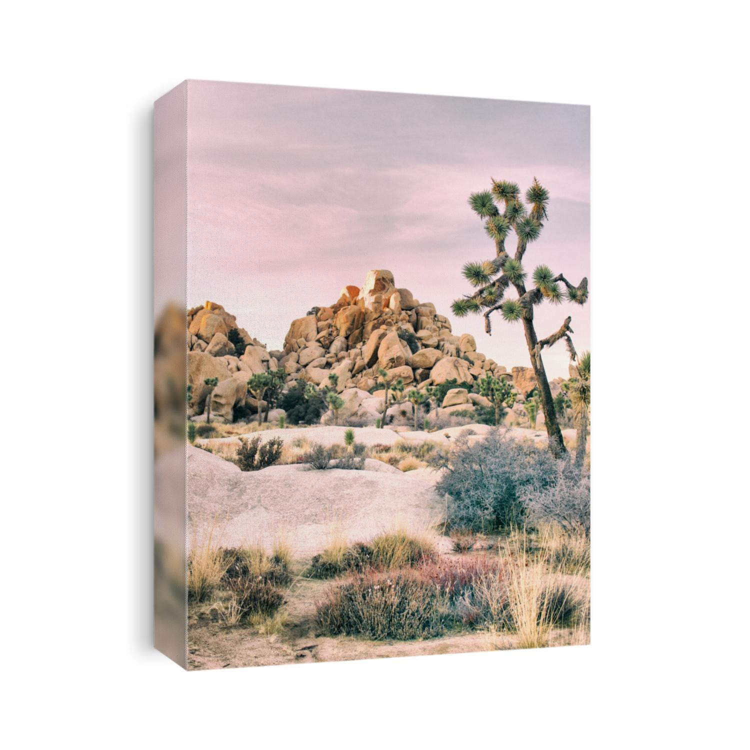 Joshua Tree Landscape