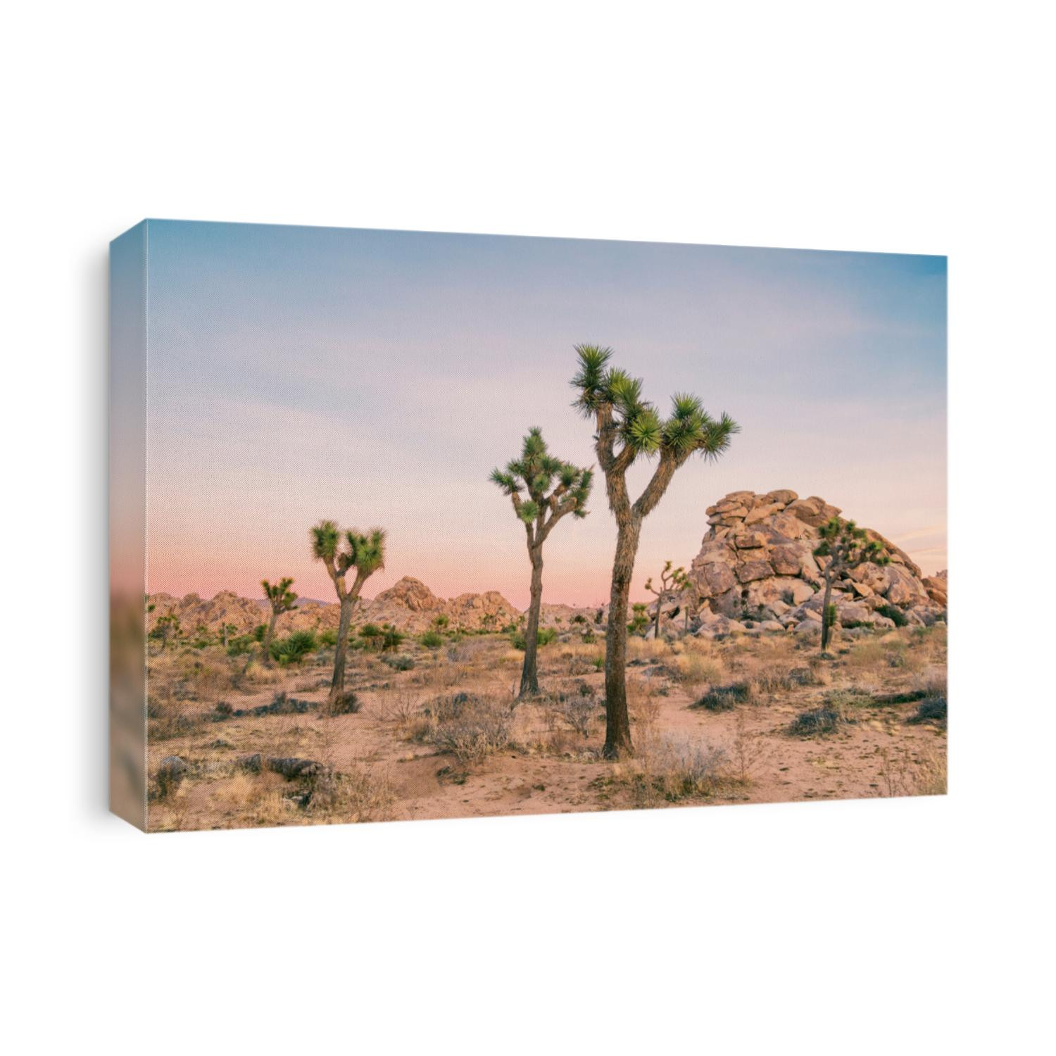 Joshua Tree Landscape