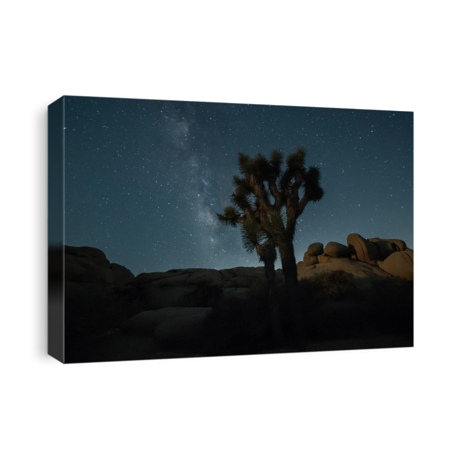 Joshua Tree National Park in Arizona