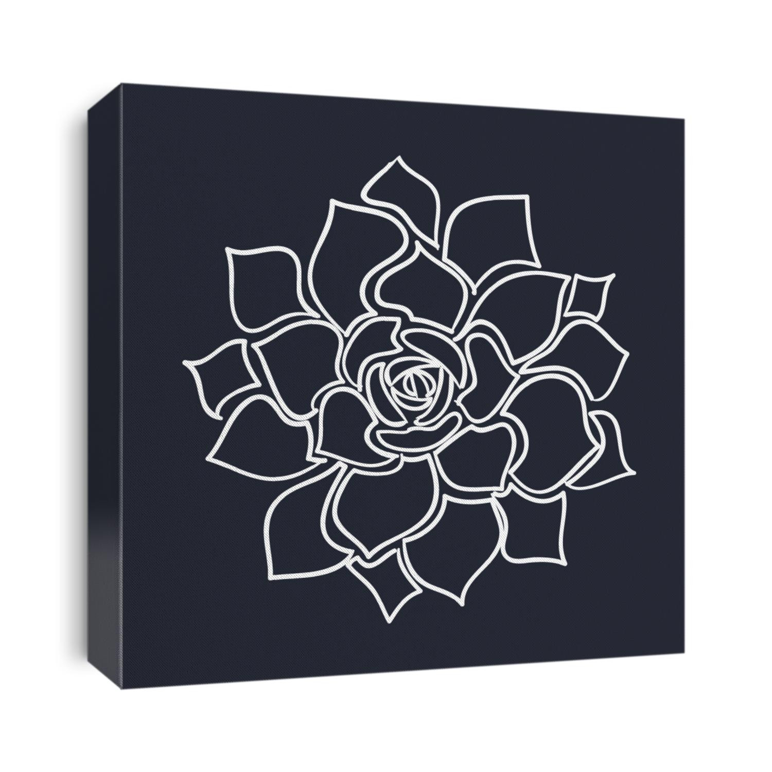 graphic succulents. plants illustration 