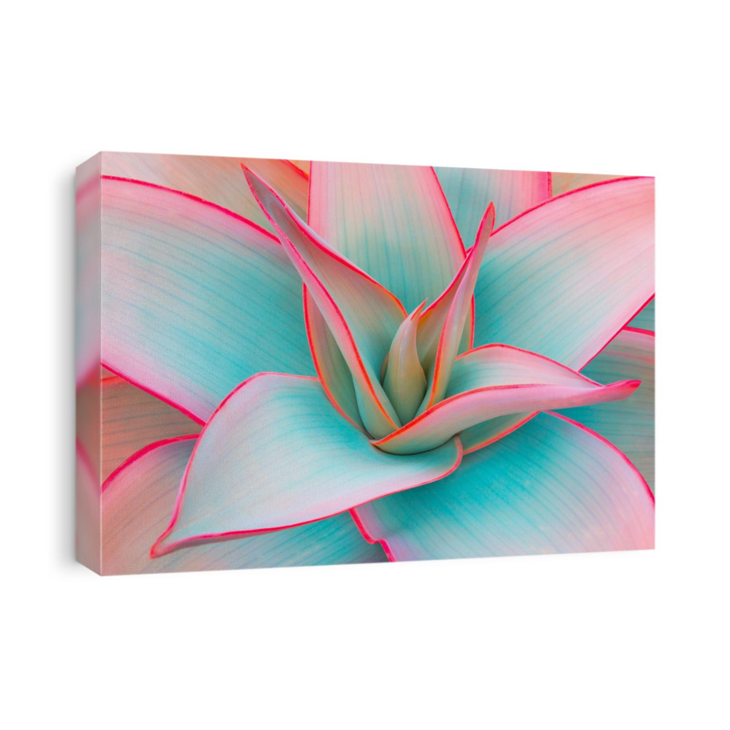 agave leaves in unusual trendy pastel colors for design backgrounds