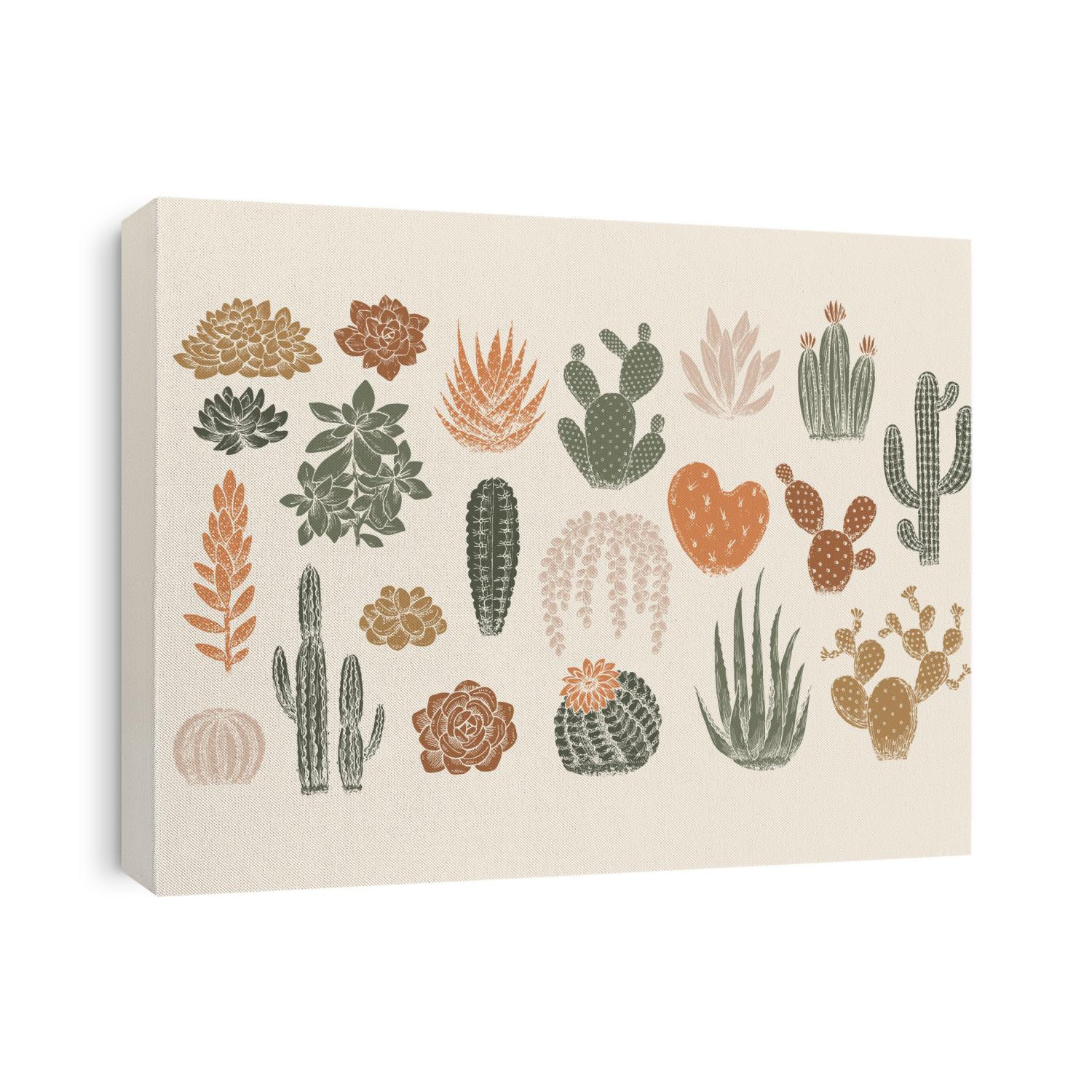 Various cactus collection. Vintage silhouette style illustration. Succulent set.