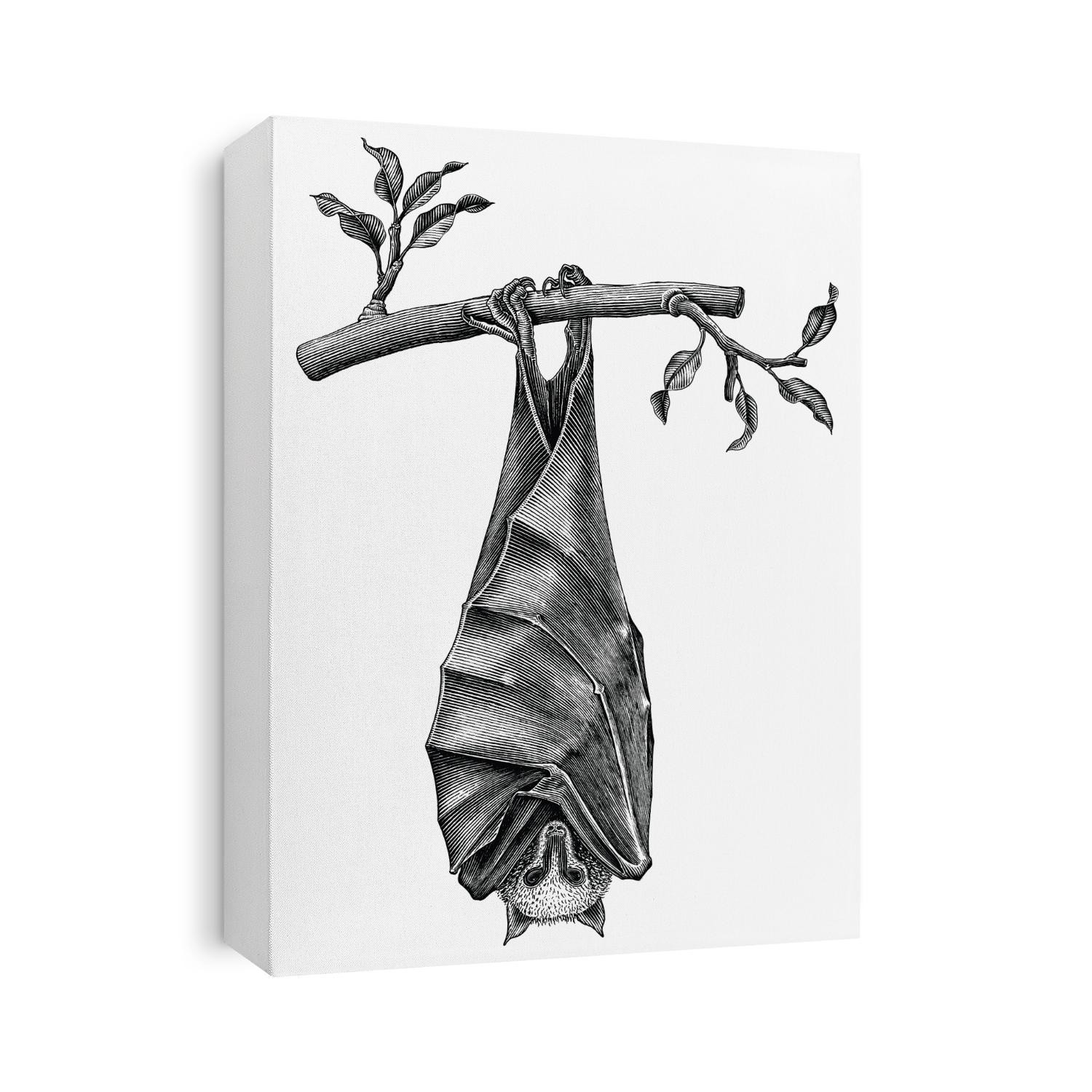 Antique of Bat hand draw vintage engraving style isolated on white background