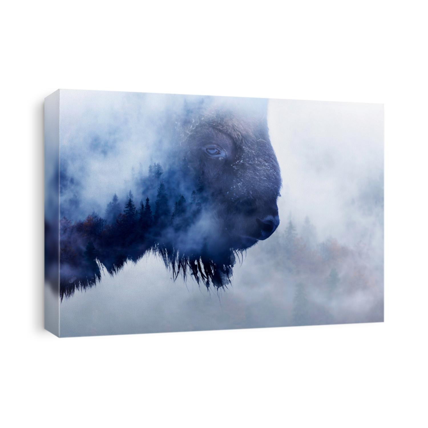 Double exposure of a wild bison, buffalo and a pine forest