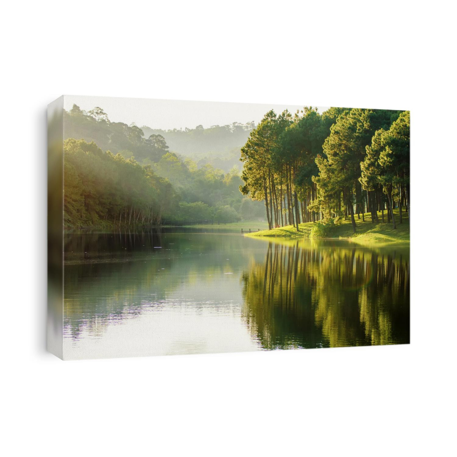pang ung , reflection of pine tree in a lake , meahongson , Thailand