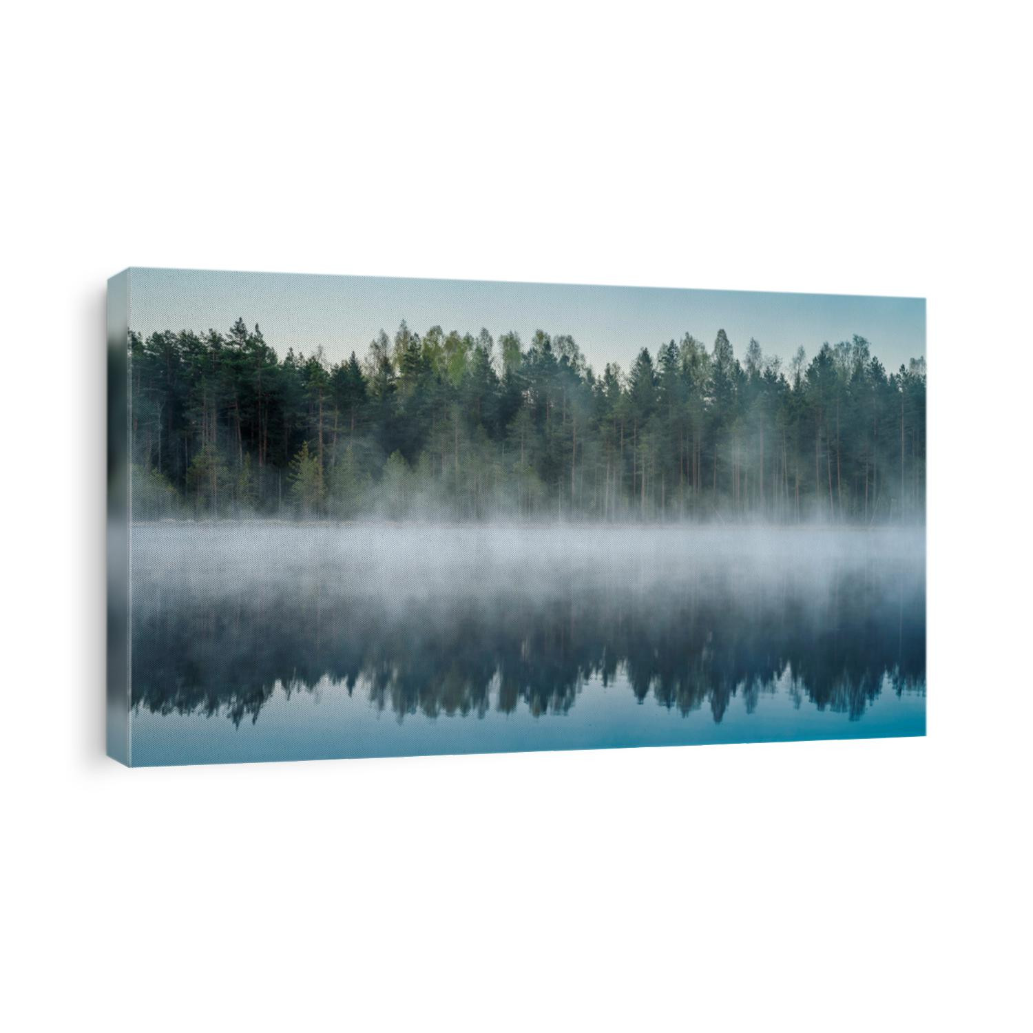 Cold summer morning in the forest with lake, forest reflection and mist on the water surface.