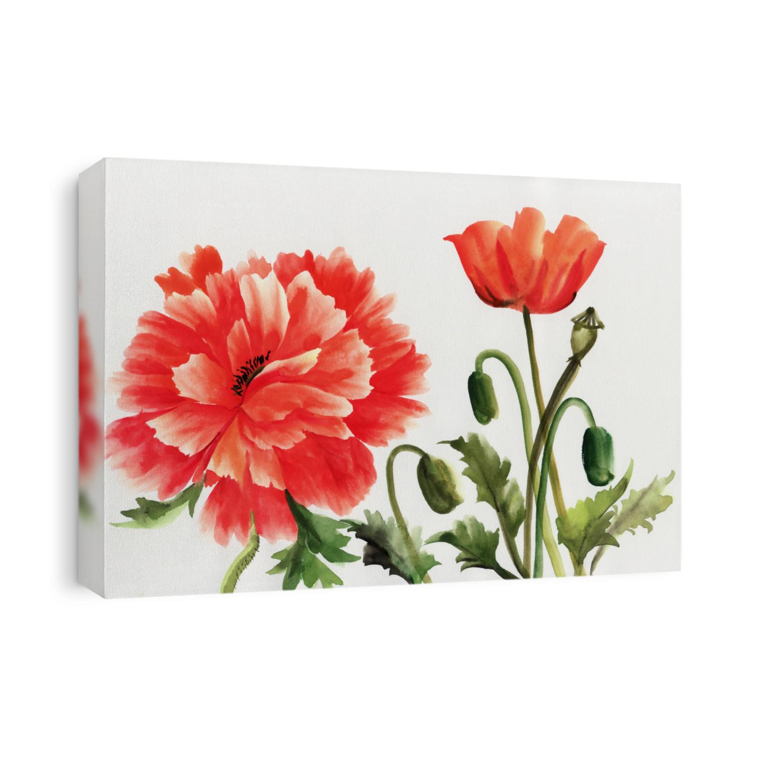 Original art, watercolor painting of red poppies