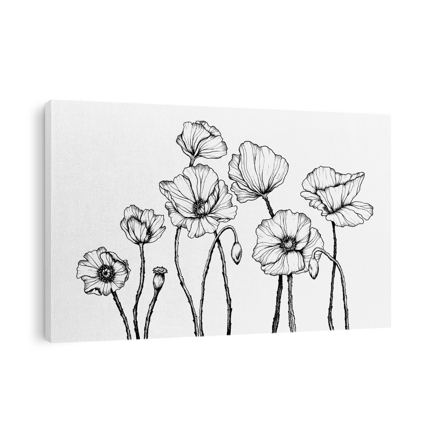 Vector line art with poppies. Black wall art. Monochrome floral background wallpaper. Flower ornament good for web, print and stencil.