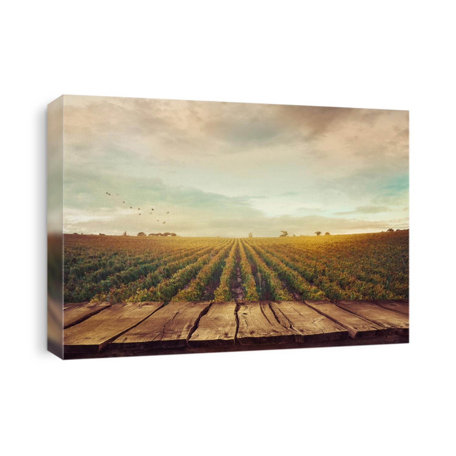 Wooden table. Spring design with vineyard and empty display. Space for your montage. Autumn grapes harvest